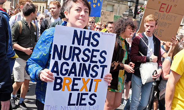 Brexit protester