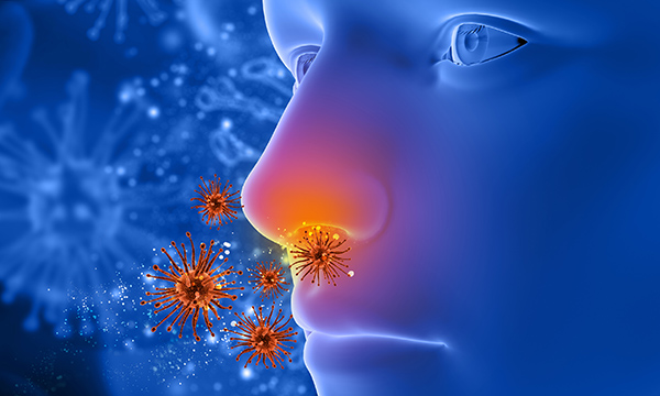Hay fever