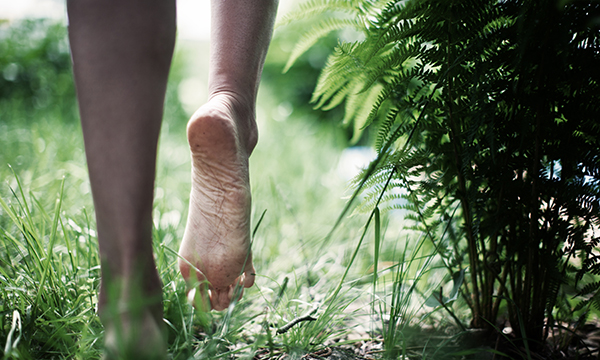 Lyme disease risks