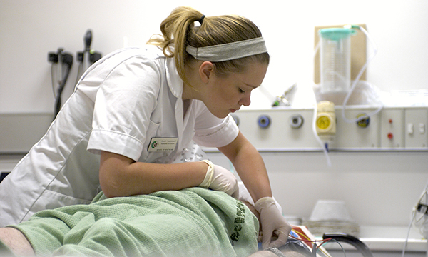 Nursing student on clinical placement in an emergency department – would her learning be enhanced by reduced practice hours?