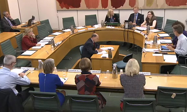 Commons committee