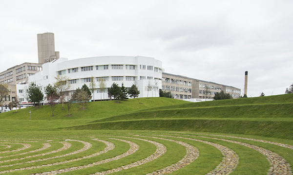 NHS_Tayside_Ninewells_edited_removing_Karen_Walker_tile-AR__006.jpg