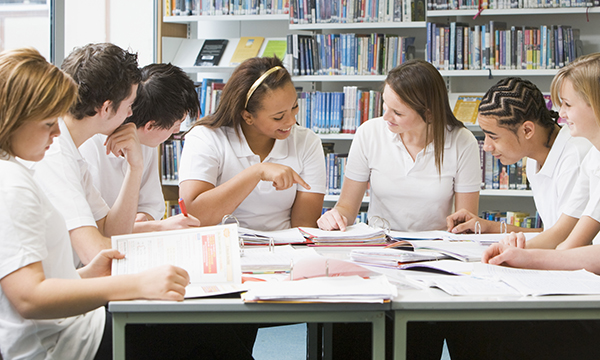 Diploma course