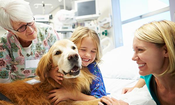 Dog_therapy