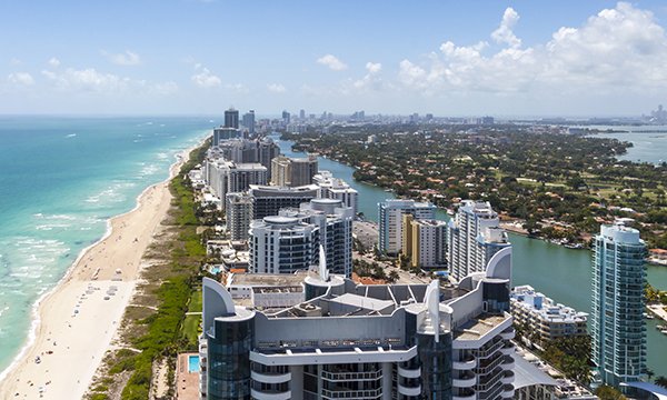 Florida Zika