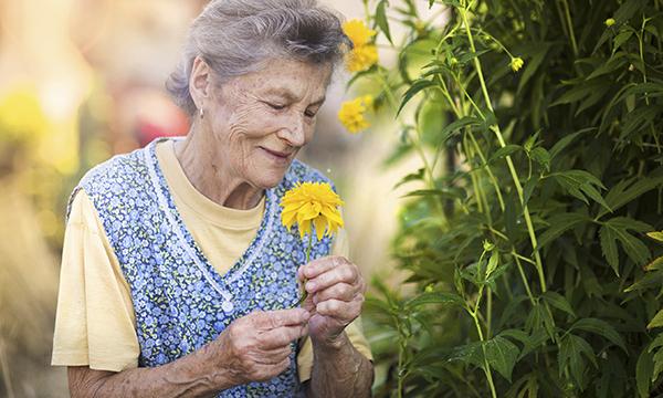 Gardening