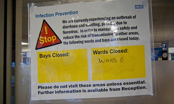 Norovirus