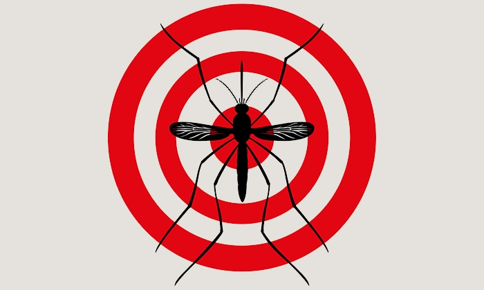 Zika3